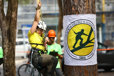 Campeonato brasileiro de escalada de árvores dentro da programação do CBAU 2025. Foto: Claudio Vieira/PMSJC 19-09-2025 