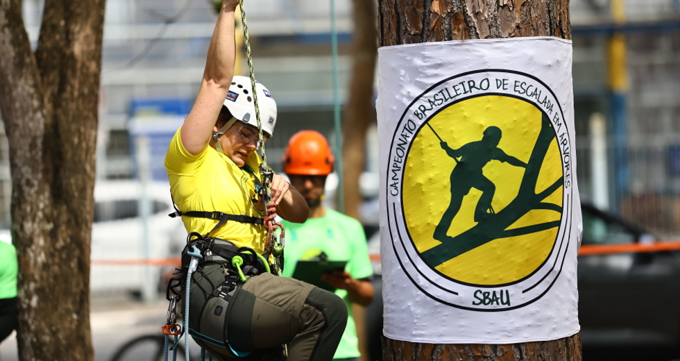 Campeonato brasileiro de escalada de árvores dentro da programação do CBAU 2025. Foto: Claudio Vieira/PMSJC 19-09-2025