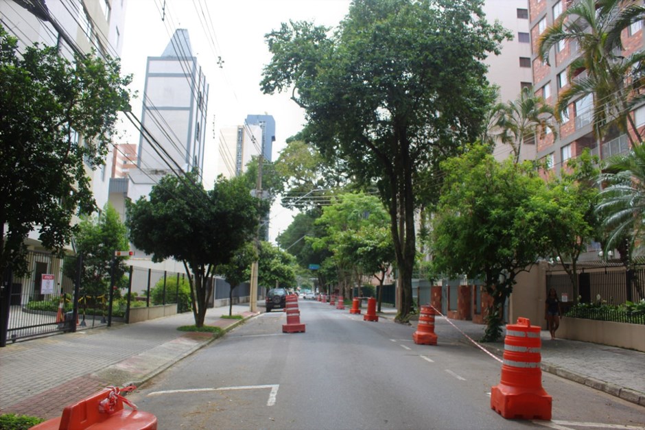 Supressão de árvores na rua Euclides Miragaia 