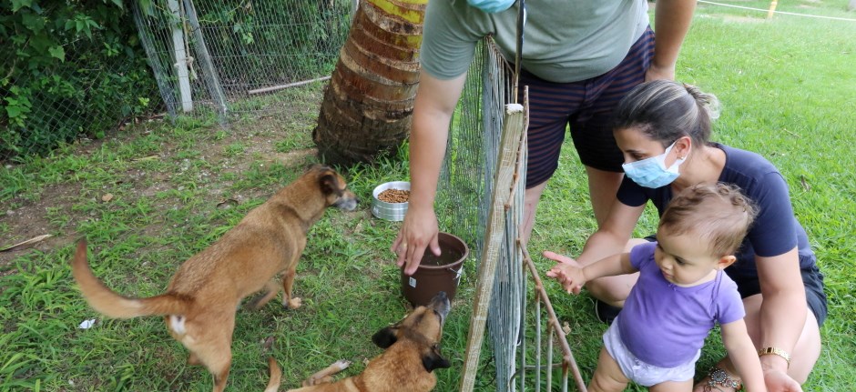 Feira de adoção de animais atrai famílias ao CCZ