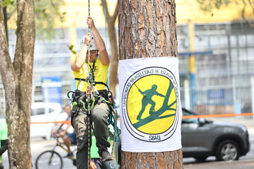 Campeonato brasileiro de escalada de árvores dentro da programação do CBAU 2025. Foto: Claudio Vieira/PMSJC 19-09-2025 