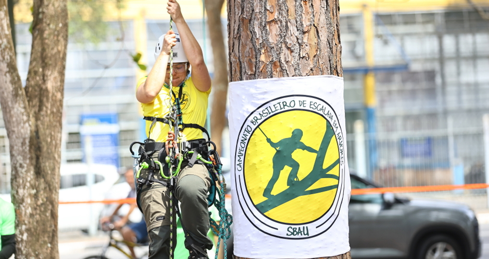 Campeonato brasileiro de escalada de árvores dentro da programação do CBAU 2025. Foto: Claudio Vieira/PMSJC 19-09-2025