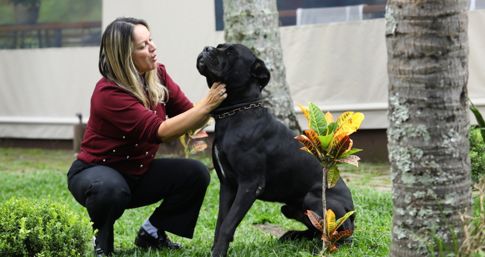 40ª fase do Meu Pet Feliz
