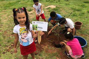 Emei Lourdes - pedagogia dos Sonhos: árvores de presente para a escola