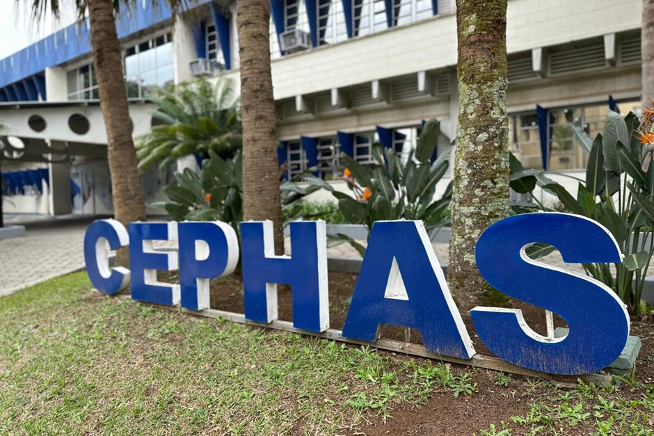 Parceria vai fomentar o empreendedorismo tecnológico entre alunos e educadores da fundação