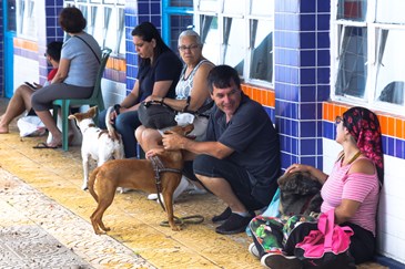 Castração de Cães e Gatos no Jardim das Indústrias-Fotos:Adenir Britto/PMSJC 19/11
