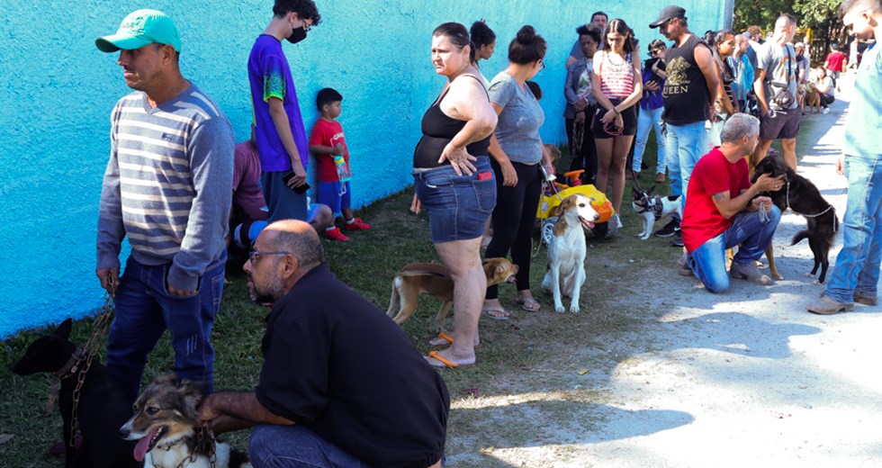 Castração de Cães e Gatos na Emef Vera Babo no Altos de Santana