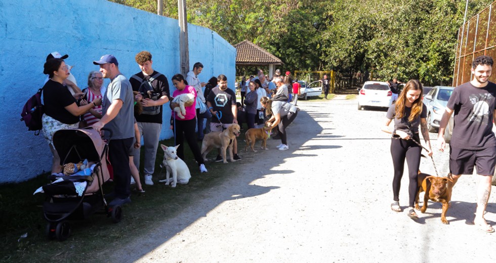 Castração de Cães e Gatos na Emef Vera Babo no Altos de Santana