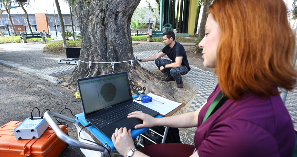 Tomógrafo Ultrassónico e Penetrografia em árvores no centro. Foto: Claudio Vieira/PMSJC 28-08-2025