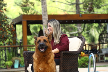 40ª fase do Meu Pet Feliz