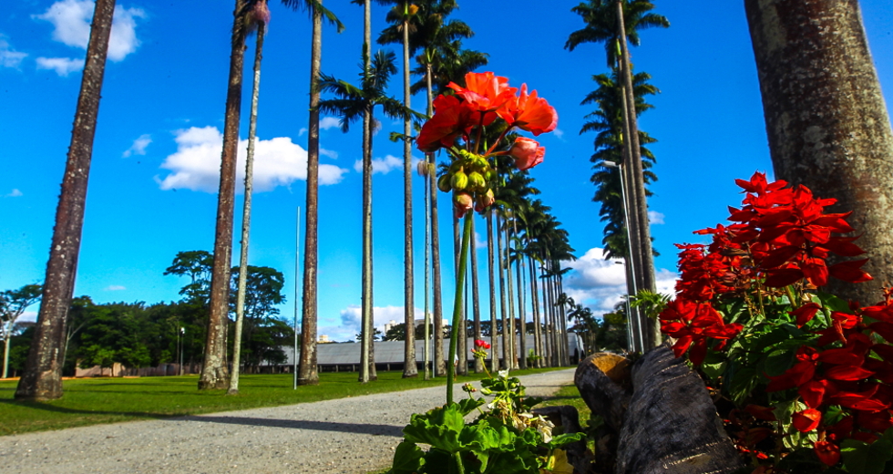 parque_da_cidade-019-claudio_vieirajpg-pque-da-cidade.jpg