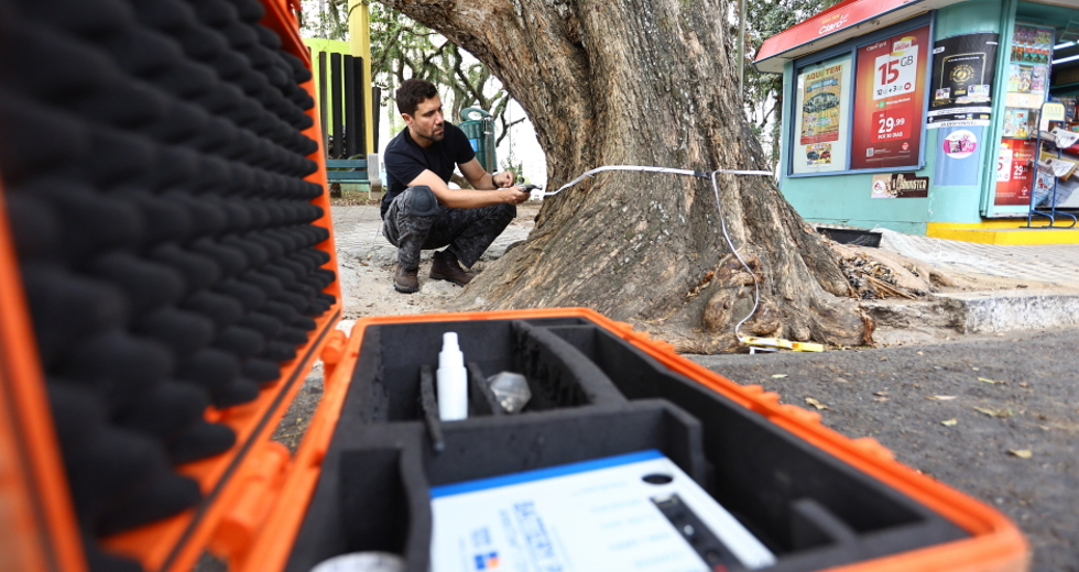 Tomógrafo Ultrassónico e Penetrografia em árvores no centro. Foto: Claudio Vieira/PMSJC 28-08-2025