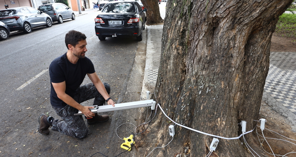 Tomógrafo Ultrassónico e Penetrografia em árvores no centro. Foto: Claudio Vieira/PMSJC 28-08-2025