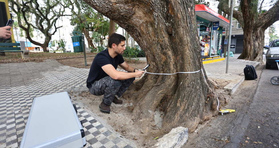 Tomógrafo Ultrassónico e Penetrografia em árvores no centro. Foto: Claudio Vieira/PMSJC 28-08-2025