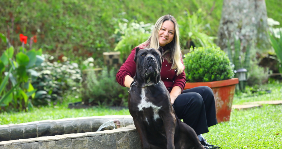 40ª fase do Meu Pet Feliz