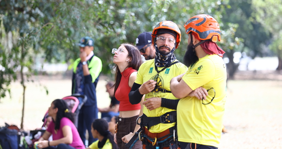 Campeonato brasileiro de escalada de árvores dentro da programação do CBAU 2025. Foto: Claudio Vieira/PMSJC 19-09-2025