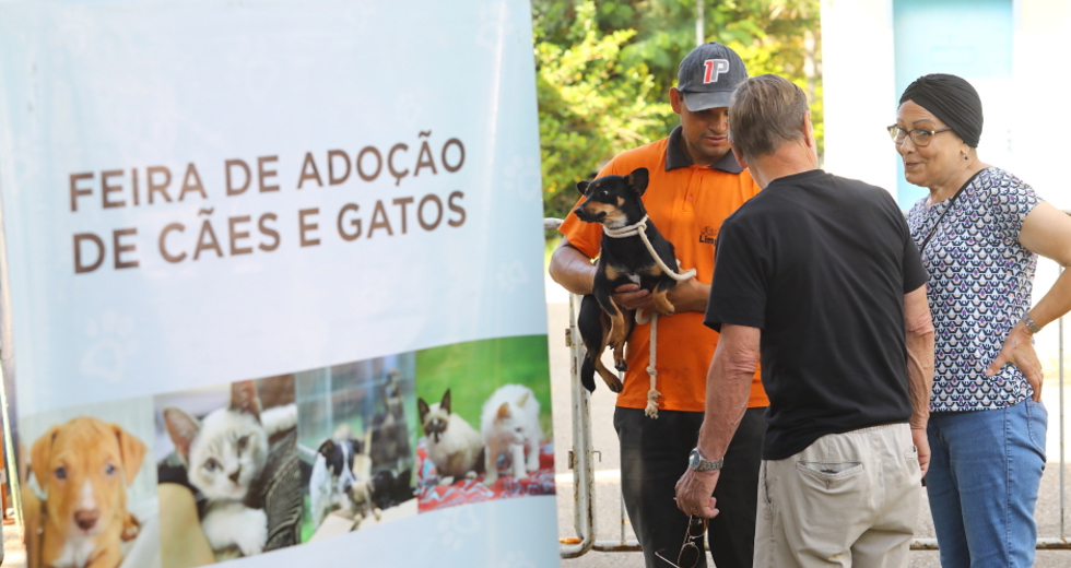 img_3912_claudio_vieira.jpg