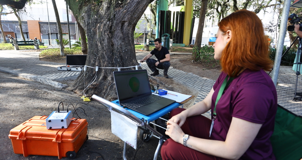 Tomógrafo Ultrassónico e Penetrografia em árvores no centro. Foto: Claudio Vieira/PMSJC 28-08-2025