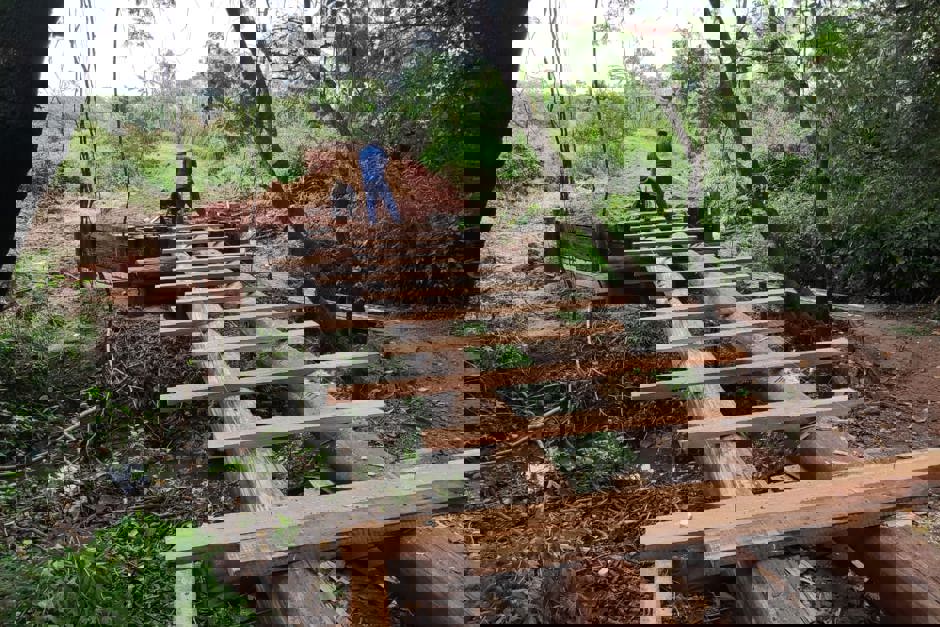 Foto: Divulgação passa.jpg