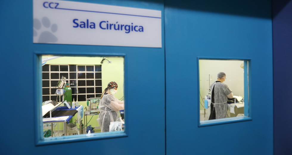 img_9266_claudio_vieira.jpg