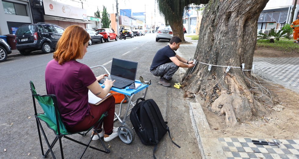 Tomógrafo Ultrassónico e Penetrografia em árvores no centro. Foto: Claudio Vieira/PMSJC 28-08-2025