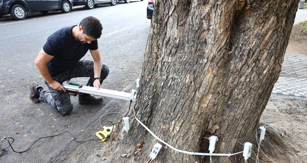 Tomógrafo Ultrassónico e Penetrografia em árvores no centro. Foto: Claudio Vieira/PMSJC 28-08-2025