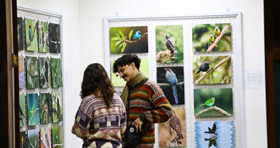 Aberta a 5ª edição do Festival Avoando