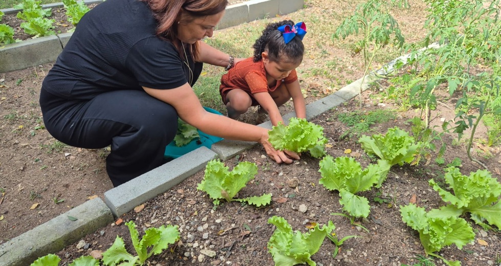 Programa Hortas Urbanas leva sustentabilidade a 56 escolas municipais