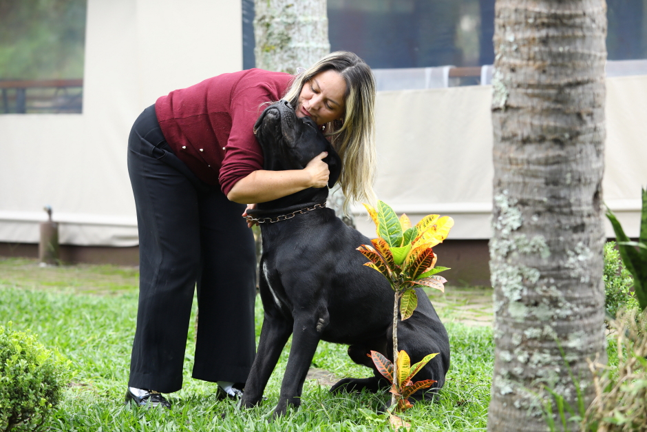 40ª fase do Meu Pet Feliz
