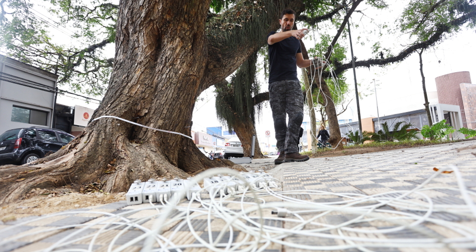 Tomógrafo Ultrassónico e Penetrografia em árvores no centro. Foto: Claudio Vieira/PMSJC 28-08-2025