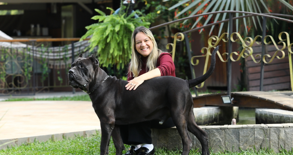 40ª fase do Meu Pet Feliz