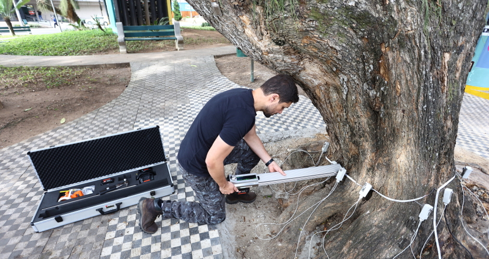 Tomógrafo Ultrassónico e Penetrografia em árvores no centro. Foto: Claudio Vieira/PMSJC 28-08-2025
