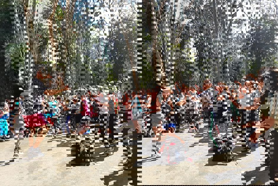 casadoidoso46.jpeg