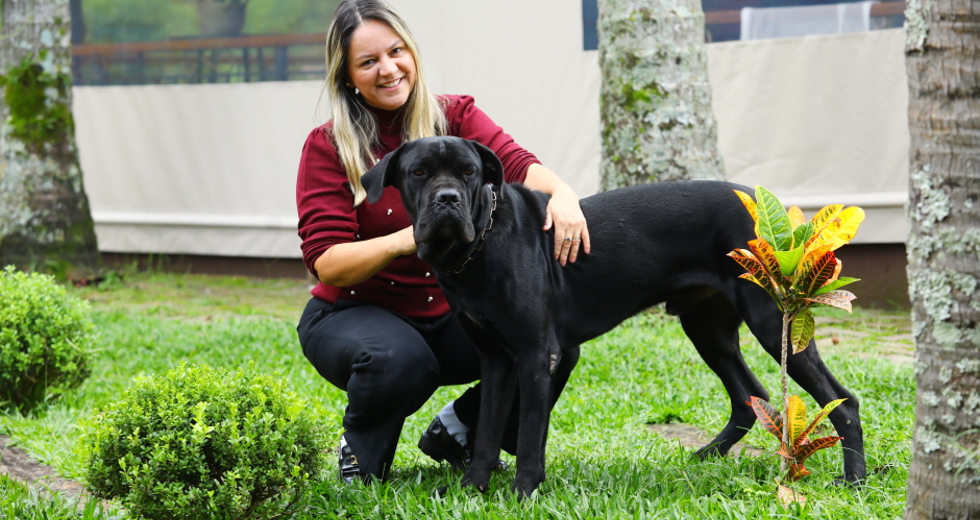 40ª fase do Meu Pet Feliz