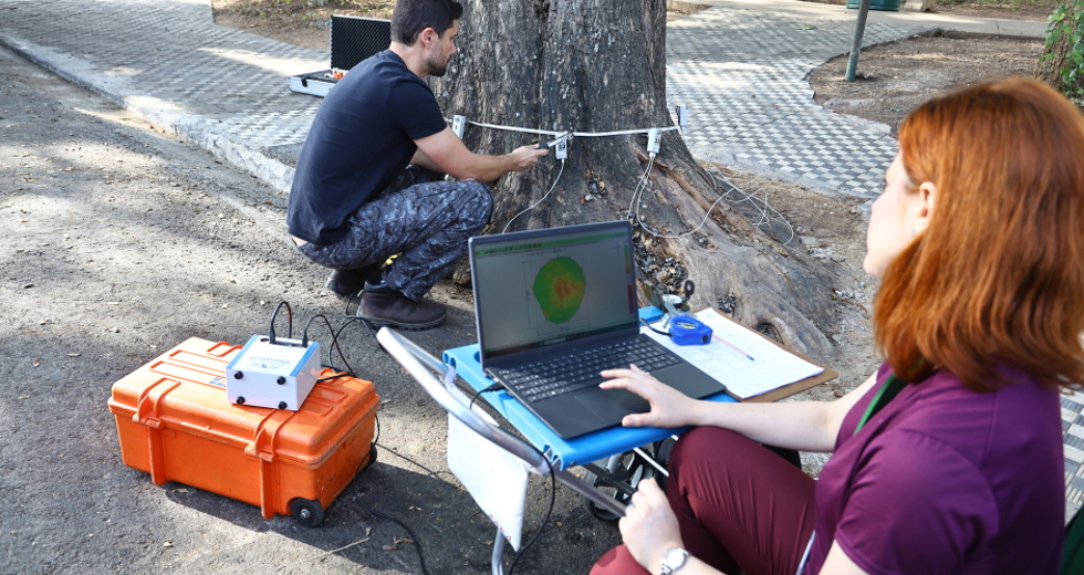Tomógrafo Ultrassónico e Penetrografia em árvores no centro. Foto: Claudio Vieira/PMSJC 28-08-2025
