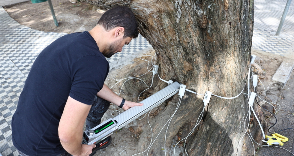 Tomógrafo Ultrassónico e Penetrografia em árvores no centro. Foto: Claudio Vieira/PMSJC 28-08-2025