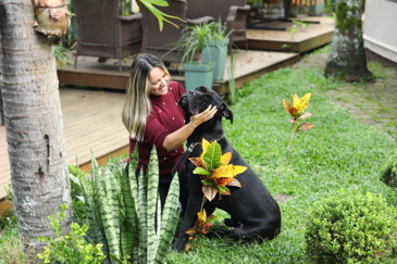 40ª fase do Meu Pet Feliz