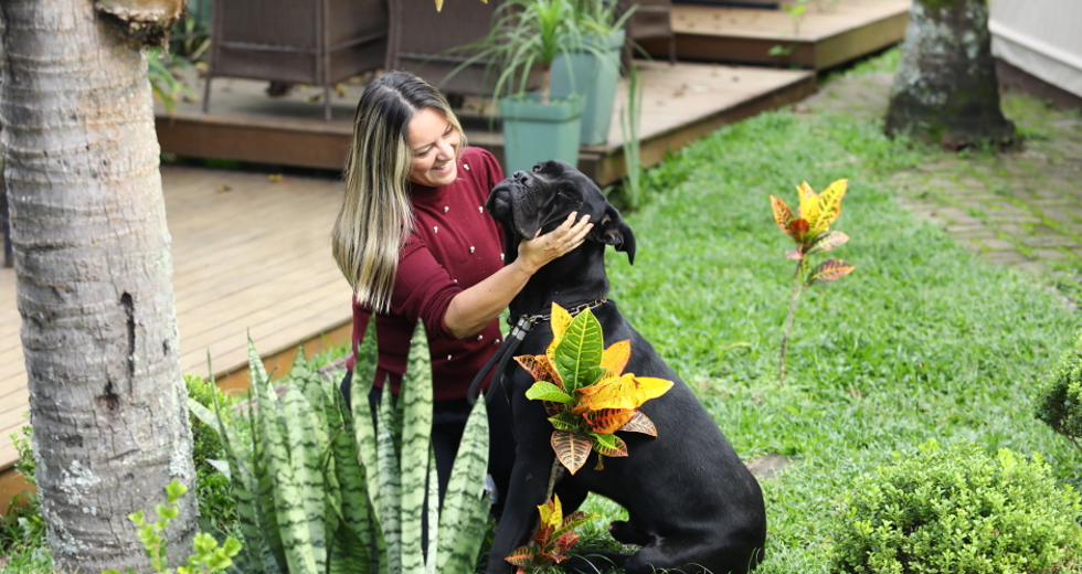 40ª fase do Meu Pet Feliz