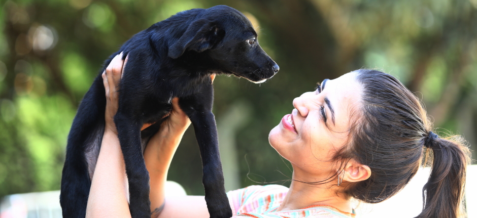 Feira de adoção de cães e gatos no CCZ