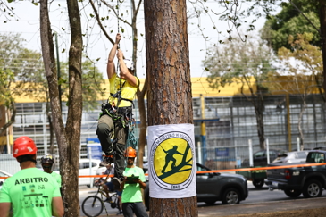 Campeonato brasileiro de escalada de árvores dentro da programação do CBAU 2025. Foto: Claudio Vieira/PMSJC 19-09-2025 