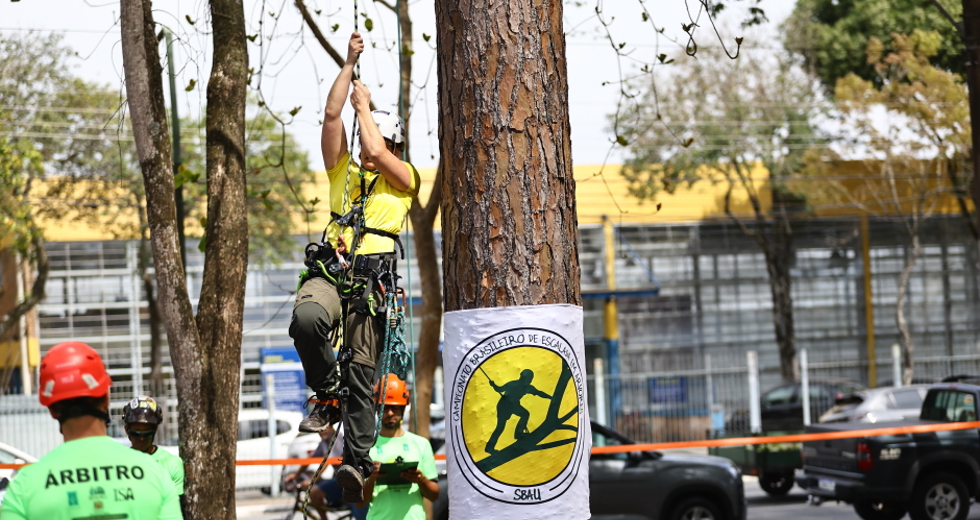 Campeonato brasileiro de escalada de árvores dentro da programação do CBAU 2025. Foto: Claudio Vieira/PMSJC 19-09-2025 
