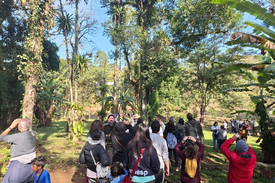 Foto: Claudio Vieira/PMSJC Aberta a 5ª edição do Festival Avoando