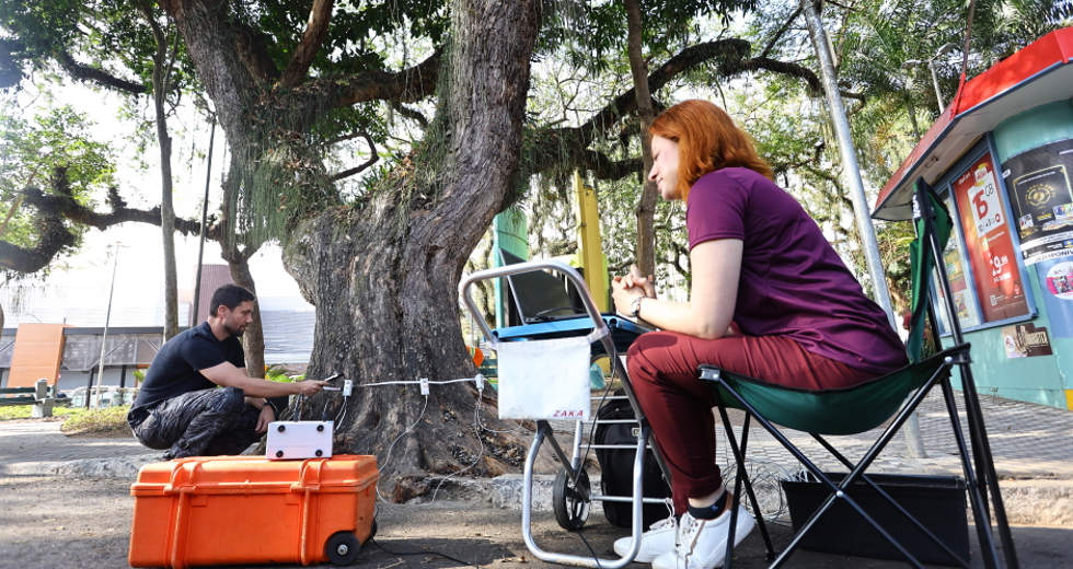 Tomógrafo Ultrassónico e Penetrografia em árvores no centro. Foto: Claudio Vieira/PMSJC 28-08-2025