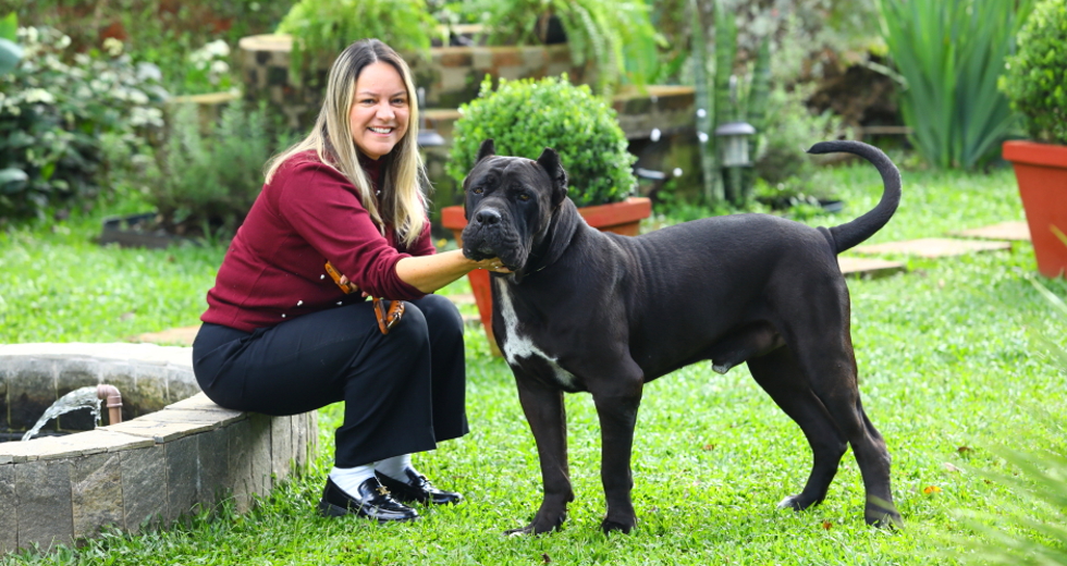 40ª fase do Meu Pet Feliz