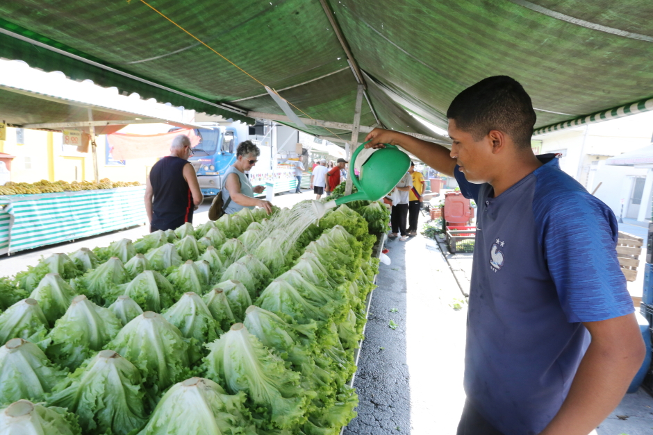Foto: Divulgação img_5848.jpg