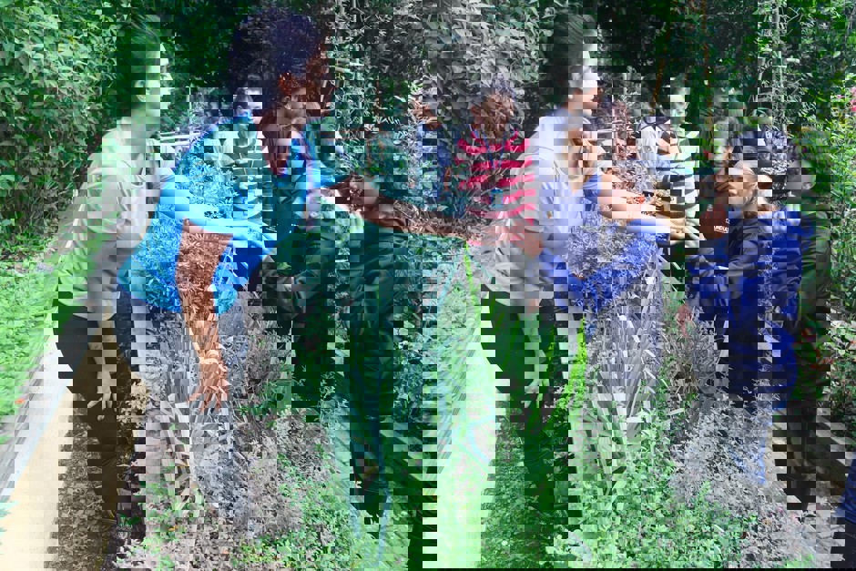 caeb2.jpg